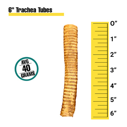 Beef Trachea - 6 Inch