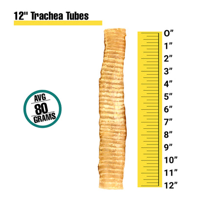 Beef Trachea - 12 Inch
